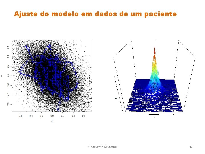 Ajuste do modelo em dados de um paciente Geometria Amostral 37 