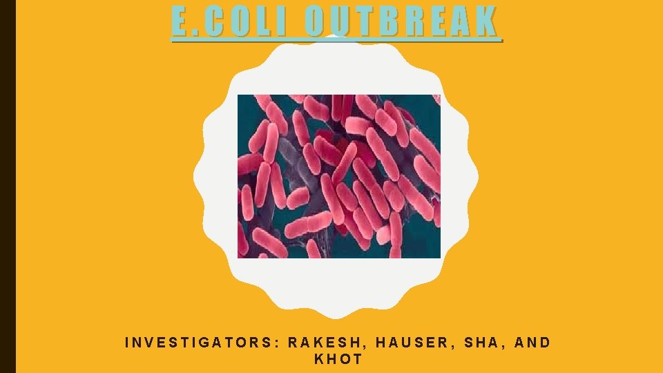 E. COLI OUTBREAK INVESTIGATORS: RAKESH, HAUSER, SHA, AND KHOT 