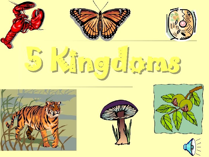 5 Kingdoms 