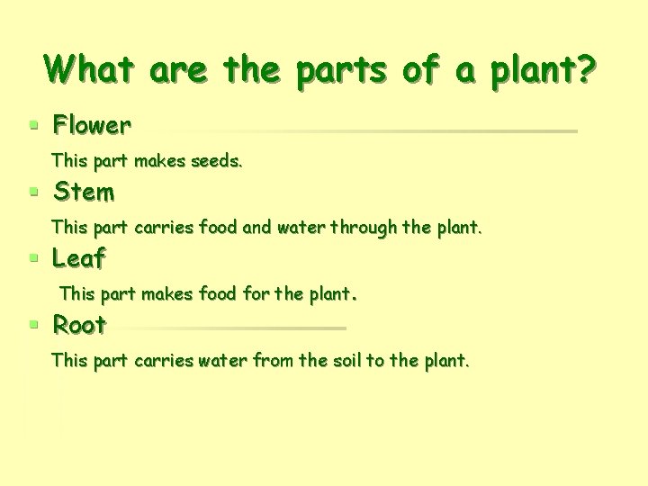 What are the parts of a plant? § Flower This part makes seeds. §