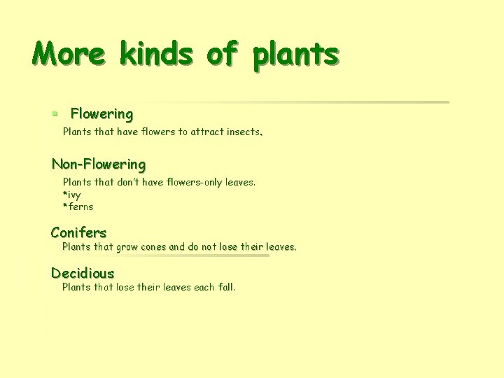 More kinds of plants § Flowering Plants that have flowers to attract insects. Non-Flowering