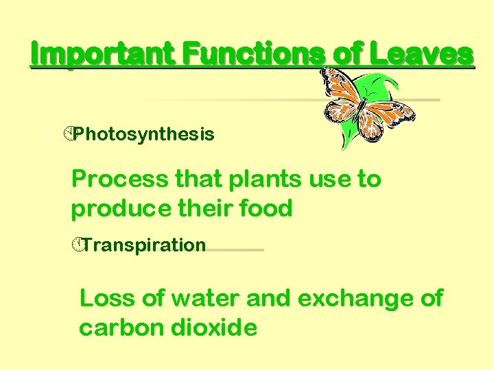 Important Functions of Leaves ÀPhotosynthesis Process that plants use to produce their food ÁTranspiration