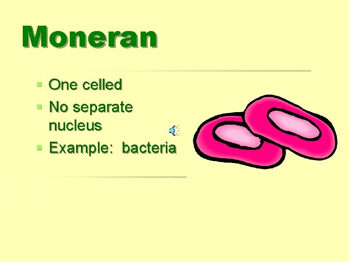 Moneran § One celled § No separate nucleus § Example: bacteria 