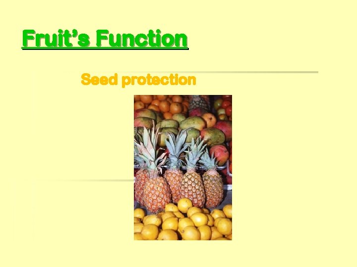 Fruit’s Function Seed protection 