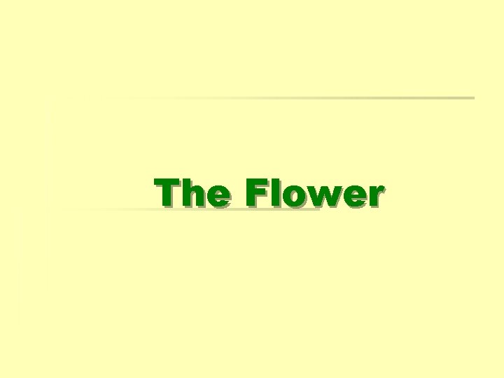 The Flower 