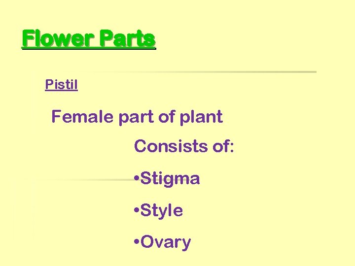 Flower Parts Pistil Female part of plant Consists of: • Stigma • Style •