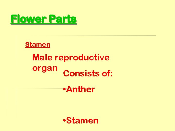 Flower Parts Stamen Male reproductive organ Consists of: • Anther • Stamen 