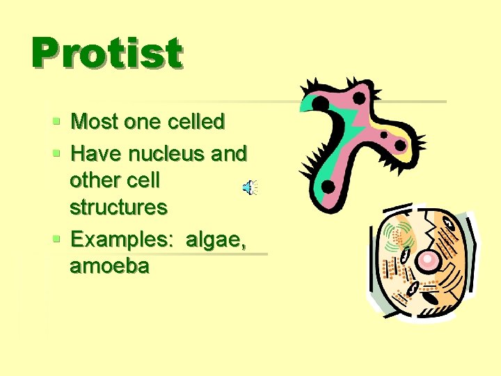 Protist § Most one celled § Have nucleus and other cell structures § Examples: