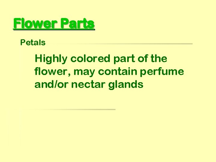 Flower Parts Petals Highly colored part of the flower, may contain perfume and/or nectar