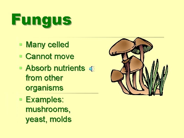 Fungus § § § Many celled Cannot move Absorb nutrients from other organisms §