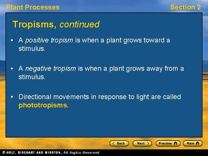 Plant Processes Section 2 Tropisms, continued • A positive tropism is when a plant