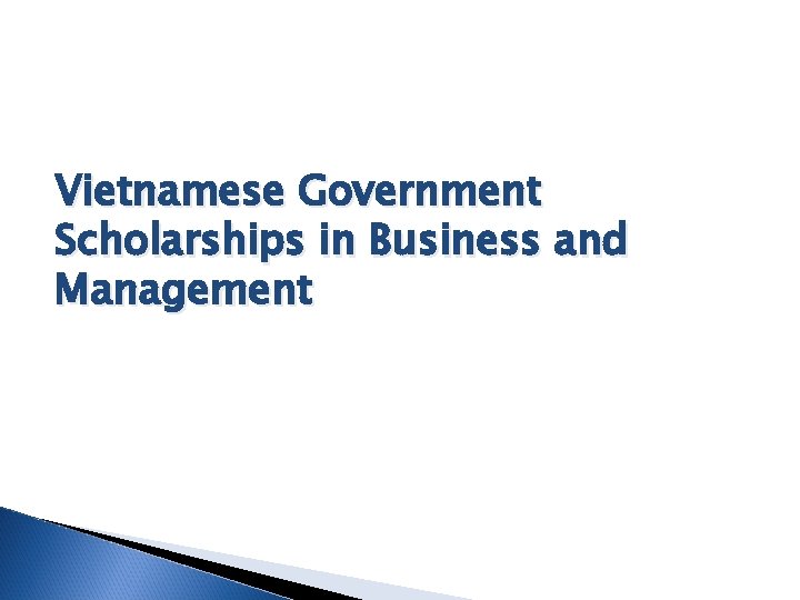 Vietnamese Government Scholarships in Business and Management 