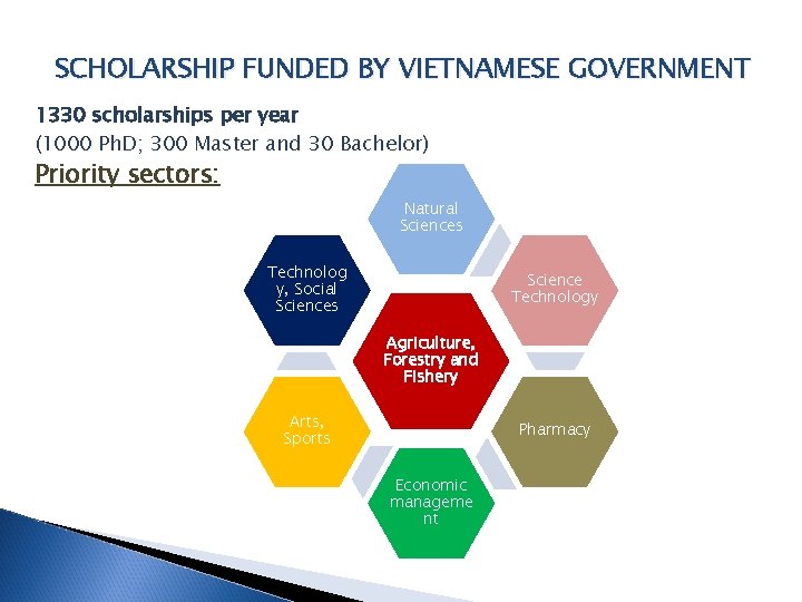 SCHOLARSHIP FUNDED BY VIETNAMESE GOVERNMENT 1330 scholarships per year (1000 Ph. D; 300 Master