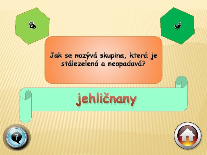 J 8 jehličnany 