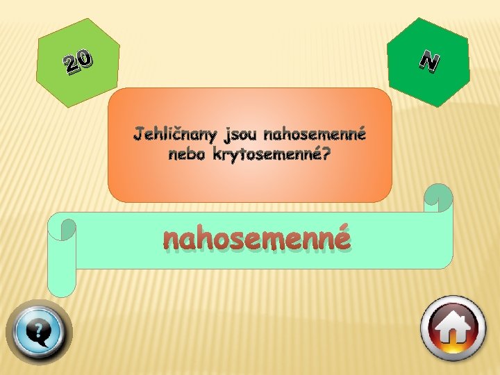 N 20 nahosemenné 