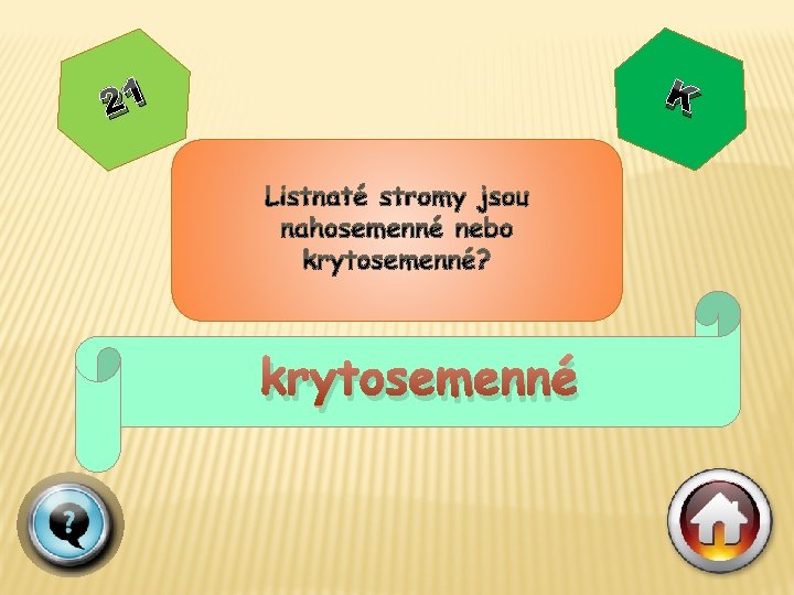 K 21 krytosemenné 