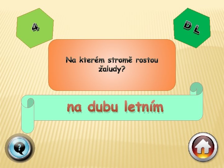 DL 4 na dubu letním 