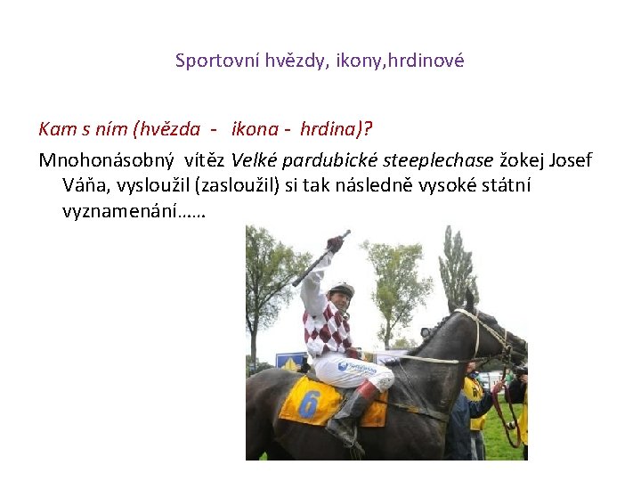 Sportovní hvězdy, ikony, hrdinové Kam s ním (hvězda - ikona - hrdina)? Mnohonásobný vítěz