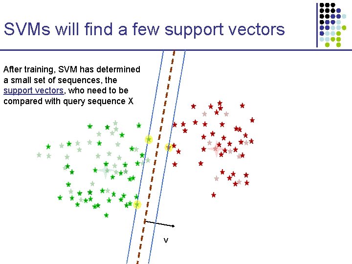 SVMs will find a few support vectors After training, SVM has determined a small