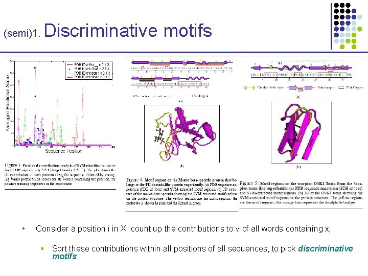 (semi)1. • Discriminative motifs Consider a position i in X: count up the contributions