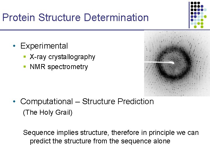 Protein Structure Determination • Experimental § X-ray crystallography § NMR spectrometry • Computational –