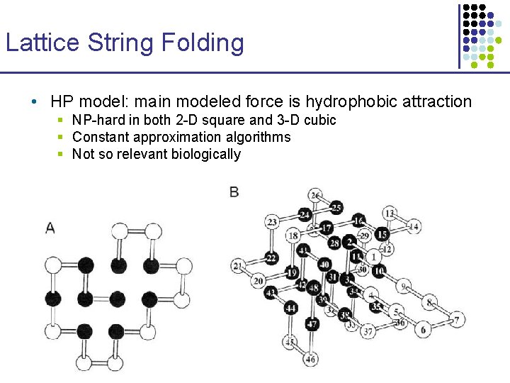 Lattice String Folding • HP model: main modeled force is hydrophobic attraction § NP-hard