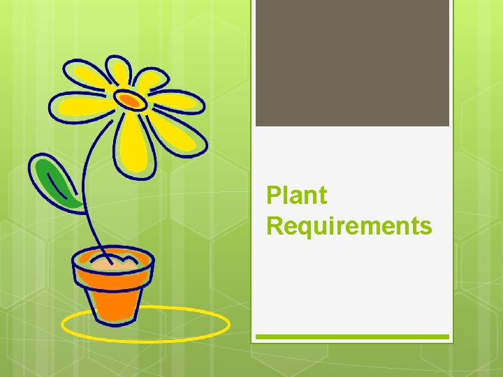 Plant Requirements 