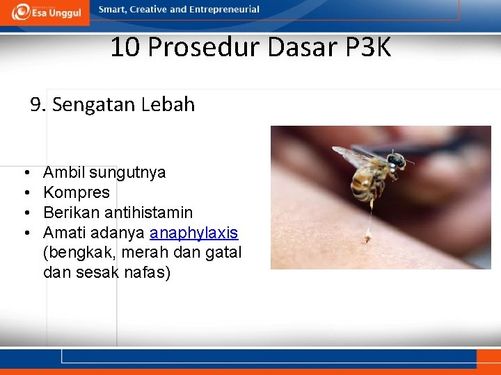 10 Prosedur Dasar P 3 K 9. Sengatan Lebah • • Ambil sungutnya Kompres