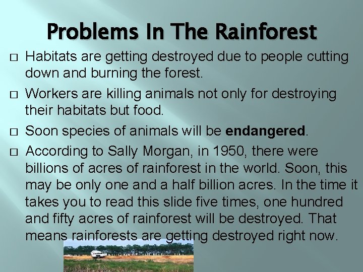 By Rain Forest Savers Jake Rubin Gavin Lambert