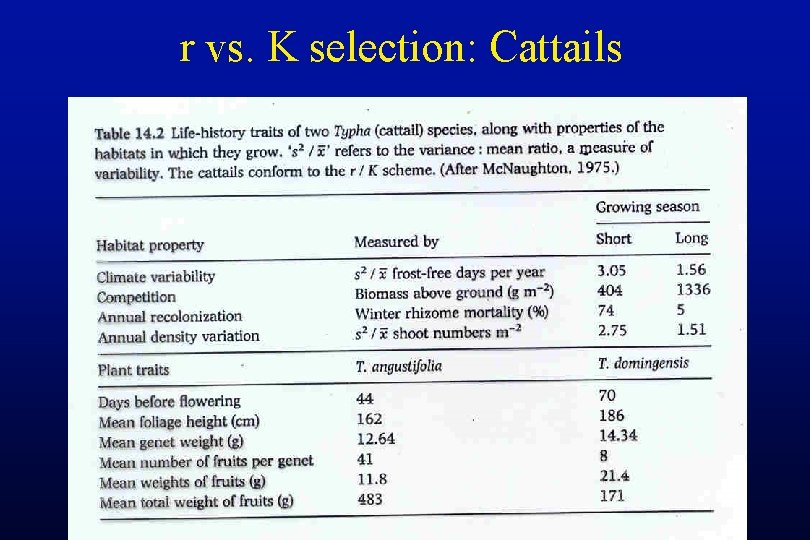 r vs. K selection: Cattails 