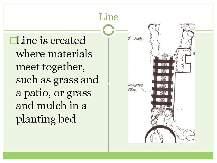 Line �Line is created where materials meet together, such as grass and a patio,