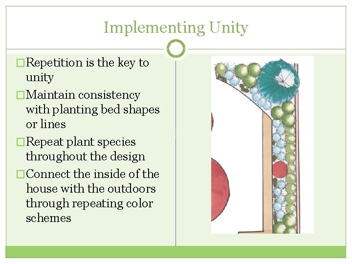 Implementing Unity �Repetition is the key to unity �Maintain consistency with planting bed shapes