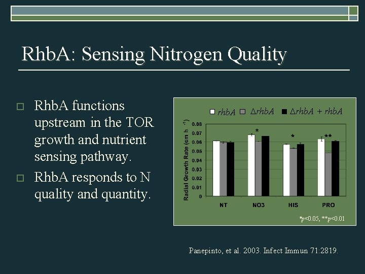 Rhb. A: Sensing Nitrogen Quality o o Rhb. A functions upstream in the TOR