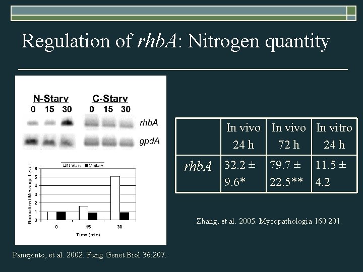 Regulation of rhb. A: Nitrogen quantity In vivo In vitro 24 h 72 h