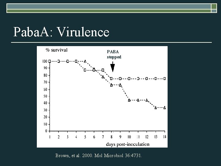 Paba. A: Virulence PABA stopped Brown, et al. 2000. Mol Microbiol 36: 4731. 