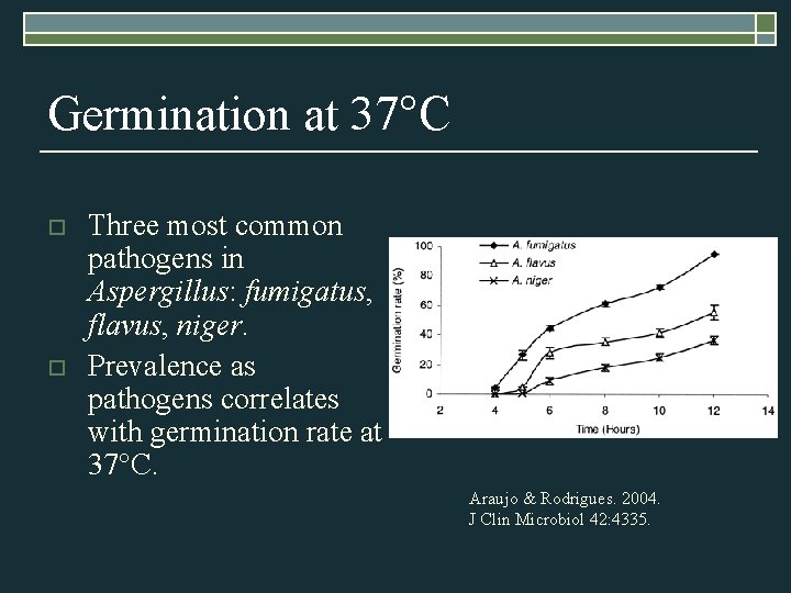 Germination at 37°C o o Three most common pathogens in Aspergillus: fumigatus, flavus, niger.