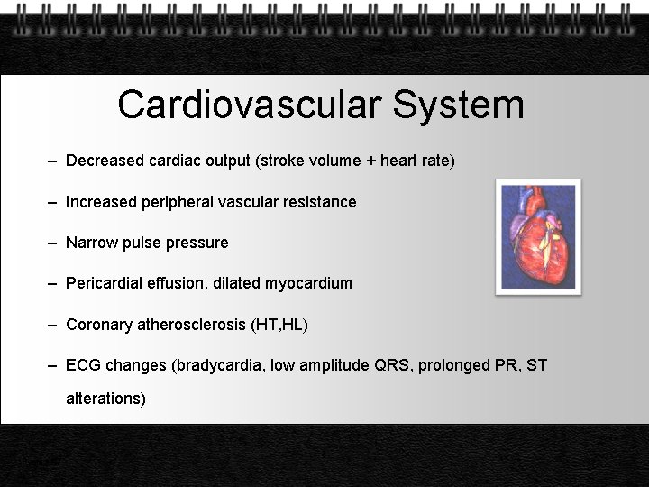 Cardiovascular System – Decreased cardiac output (stroke volume + heart rate) – Increased peripheral