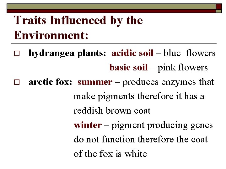 Traits Influenced by the Environment: o o hydrangea plants: acidic soil – blue flowers