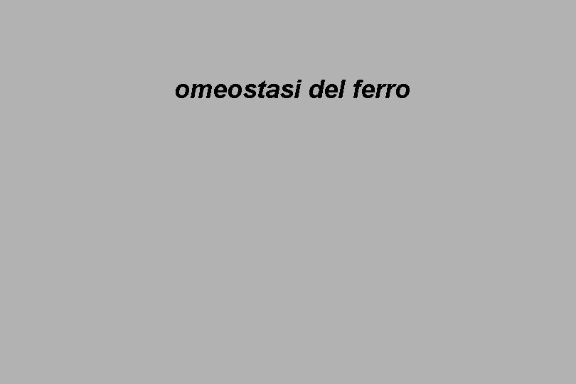 omeostasi del ferro 
