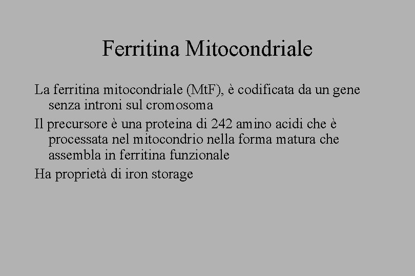 Ferritina Mitocondriale La ferritina mitocondriale (Mt. F), è codificata da un gene senza introni