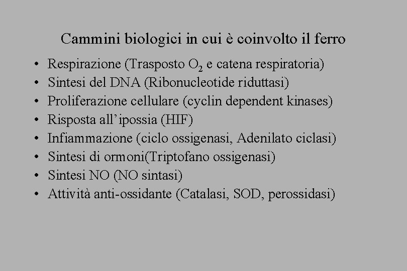 Cammini biologici in cui è coinvolto il ferro • • Respirazione (Trasposto O 2