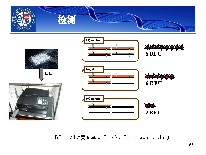 检测 (+) control F F F F F 8 RFU target �� F F