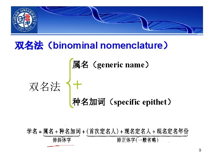 双名法（binominal nomenclature） 属名（generic name） 双名法 种名加词（specific epithet） 9 