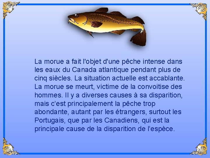 La morue a fait l'objet d'une pêche intense dans les eaux du Canada atlantique