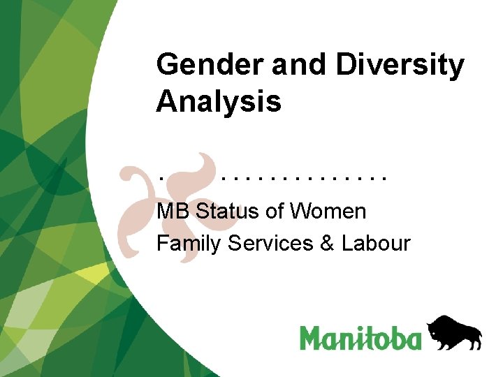 Gender and Diversity Analysis. . . . . MB Status of Women Family Services