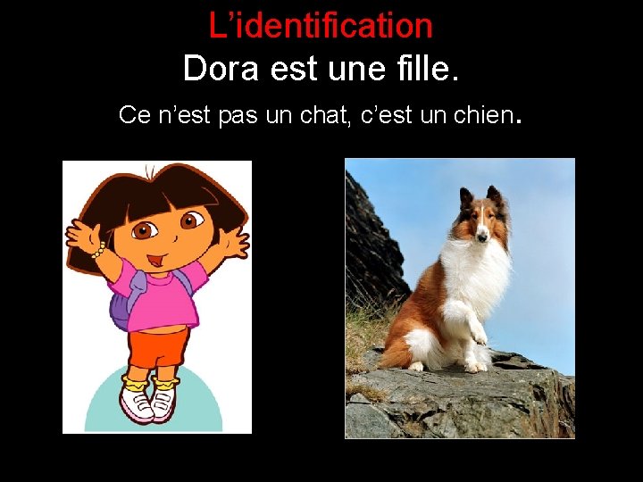 L’identification Dora est une fille. Ce n’est pas un chat, c’est un chien. 