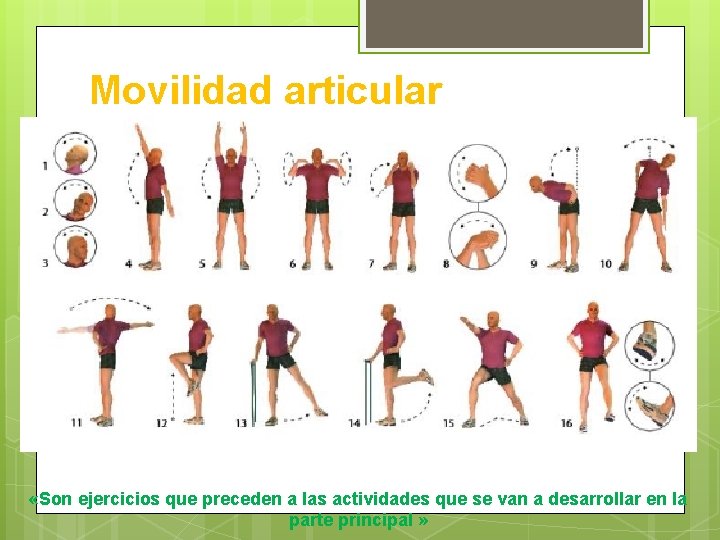 Movilidad articular «Son ejercicios que preceden a las actividades que se van a desarrollar