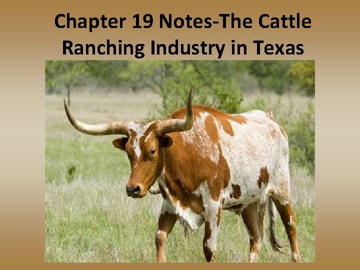 Chapter 19 Notes-The Cattle Ranching Industry in Texas 