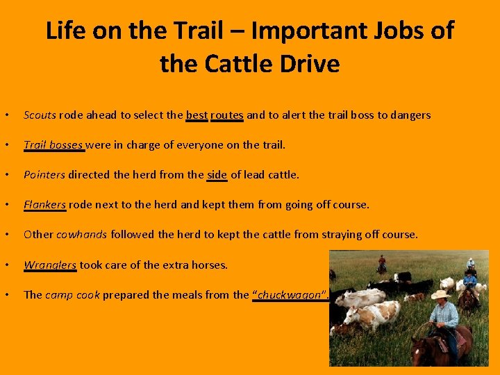 Life on the Trail – Important Jobs of the Cattle Drive • Scouts rode