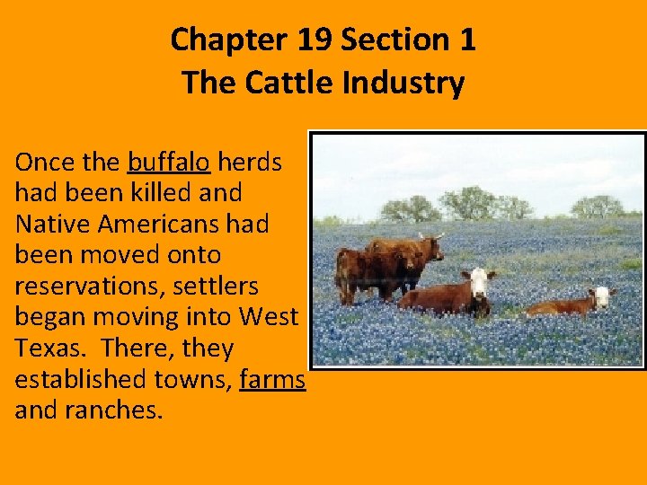 Chapter 19 Section 1 The Cattle Industry Once the buffalo herds had been killed